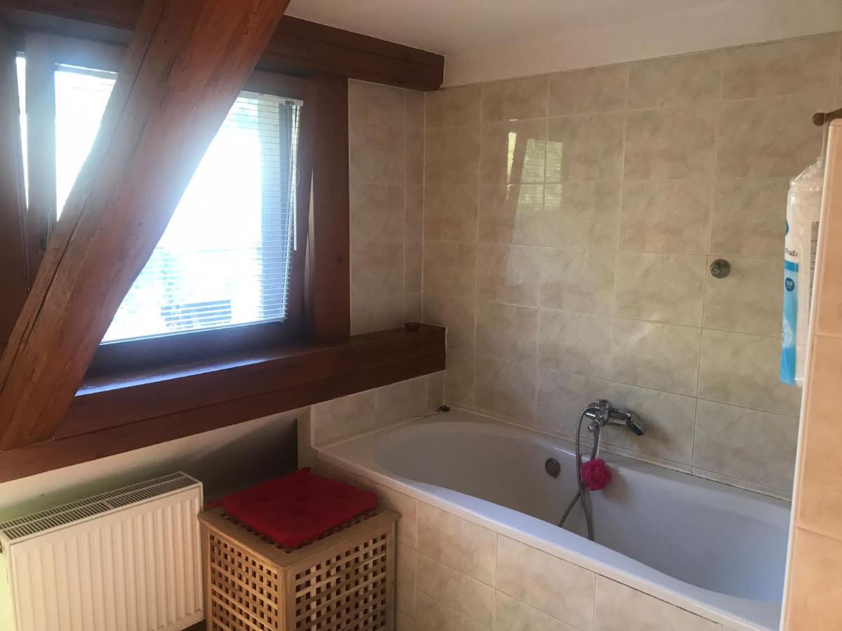 Apartmany Dolni Vitkov Храстава Екстер'єр фото