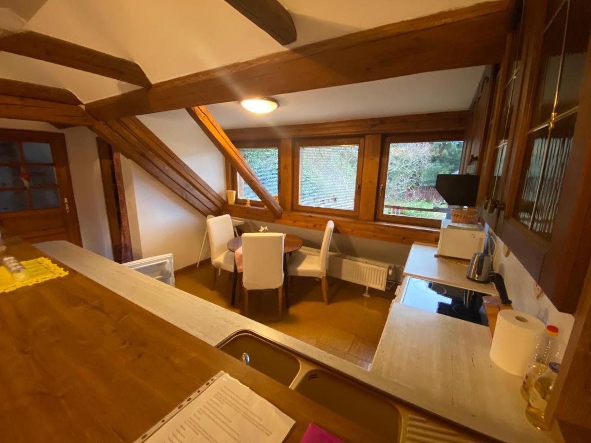 Apartmany Dolni Vitkov Храстава Екстер'єр фото