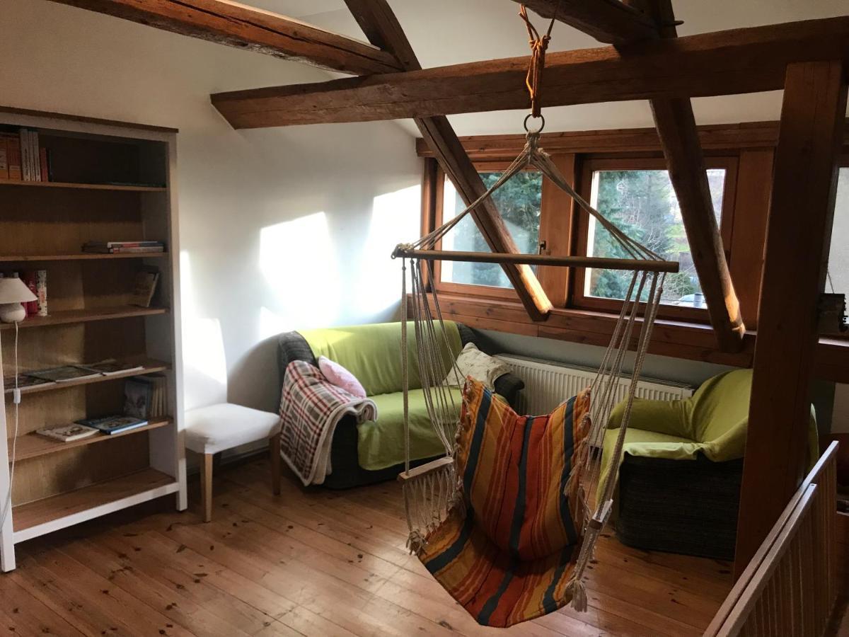 Apartmany Dolni Vitkov Храстава Екстер'єр фото